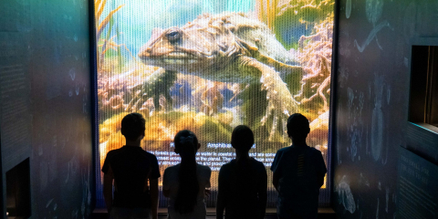 Exhibition in the World Beneath the Waves gallery 