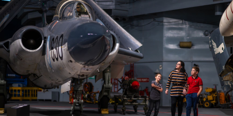 Mother and sons look up at a Royal Navy aircraft